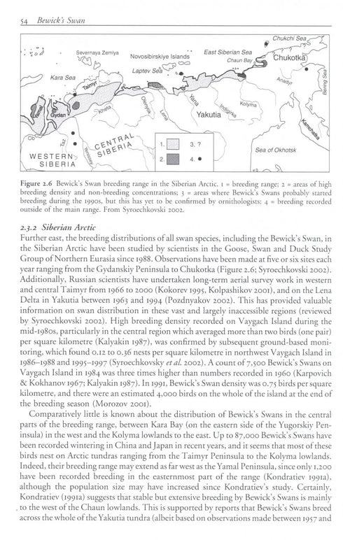 Bewick´s Swan - Rees,E. 2006